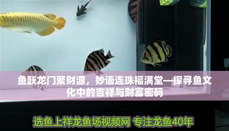 魚躍龍門聚財源，妙語連珠福滿堂—探尋魚文化中的吉祥與財富密碼