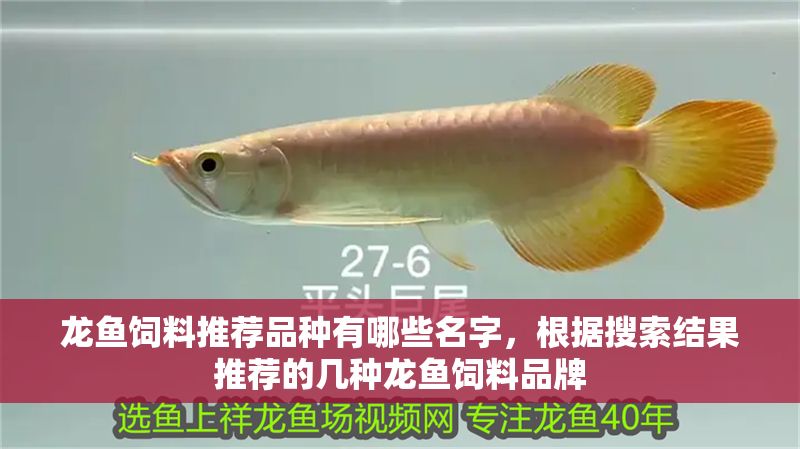 龍魚飼料推薦品種有哪些名字，根據搜索結果推薦的幾種龍魚飼料品牌