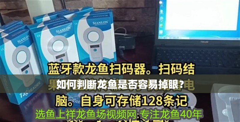 如何判斷龍魚是否容易掉眼？