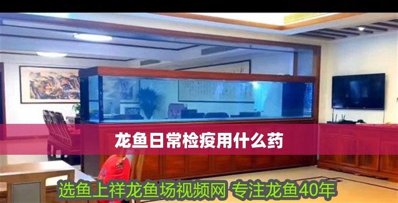 龍魚(yú)日常檢疫用什么藥