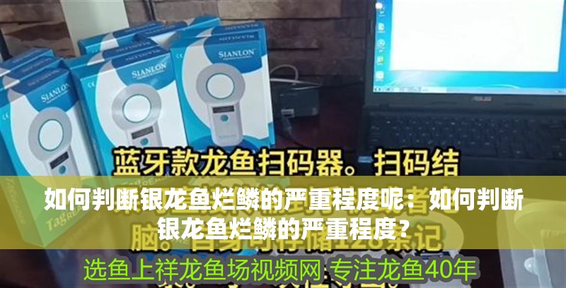 如何判斷銀龍魚爛鱗的嚴重程度呢：如何判斷銀龍魚爛鱗的嚴重程度？