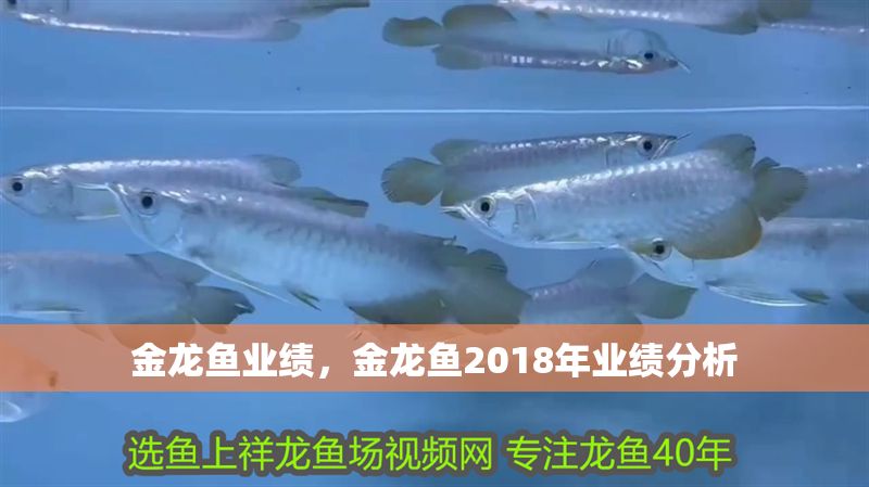 金龍魚業績，金龍魚2018年業績分析