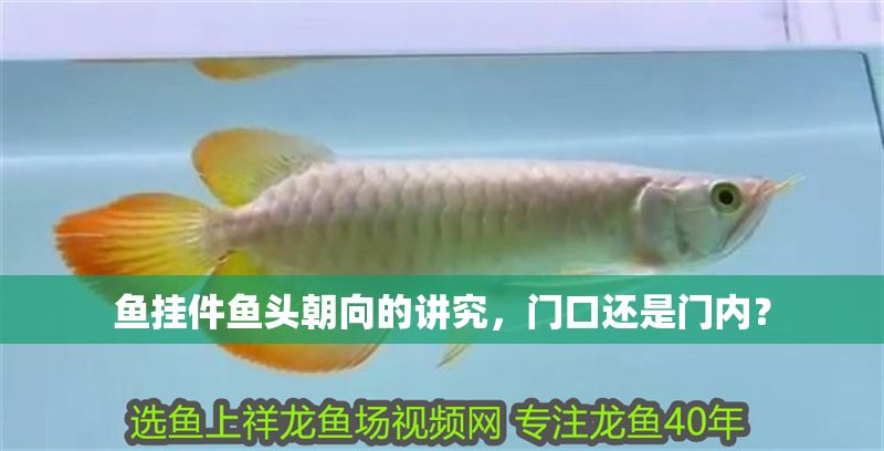 魚掛件魚頭朝向的講究，門口還是門內？