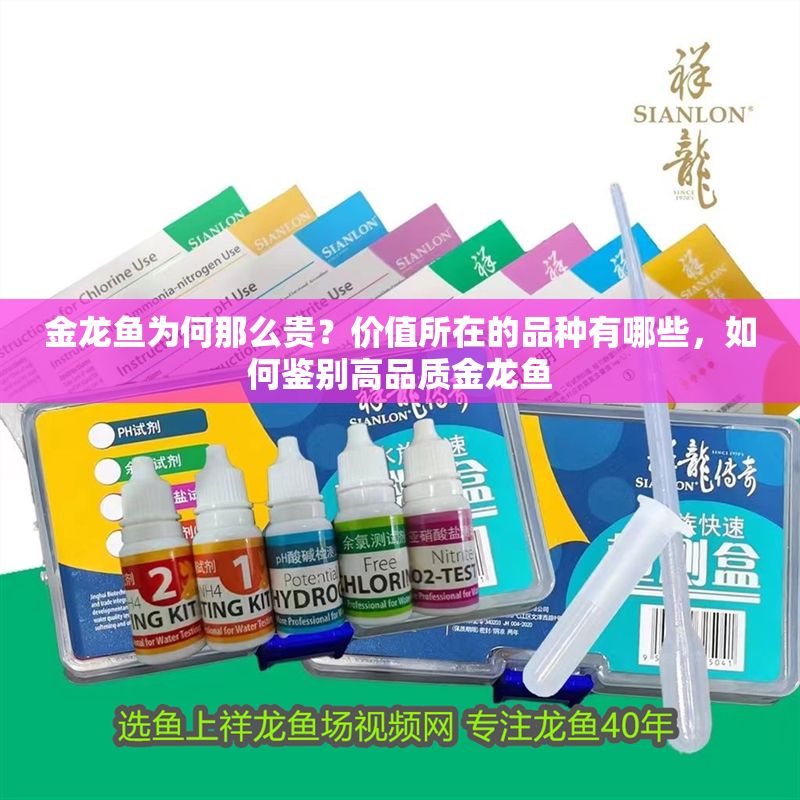 金龍魚為何那么貴？價值所在的品種有哪些，如何鑒別高品質金龍魚