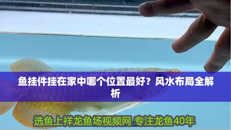 魚掛件掛在家中哪個位置最好？風水布局全解析