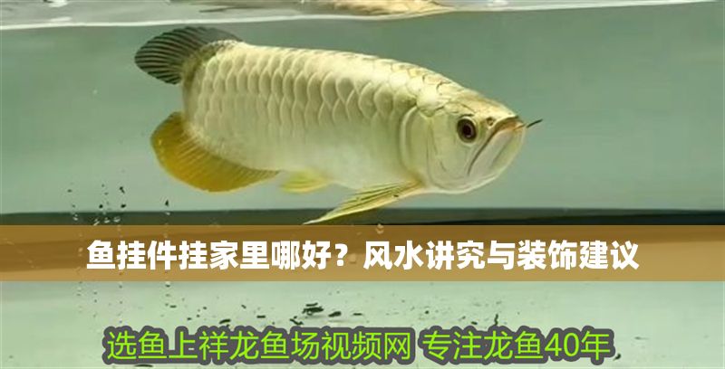 魚掛件掛家里哪好？風(fēng)水講究與裝飾建議