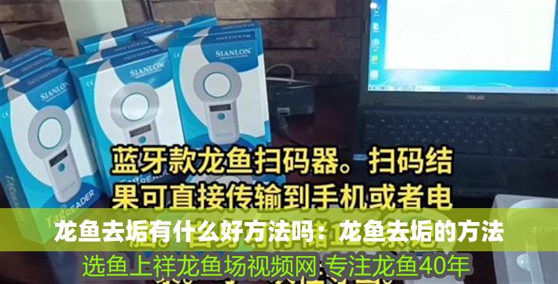 龍魚去垢有什么好方法嗎：龍魚去垢的方法