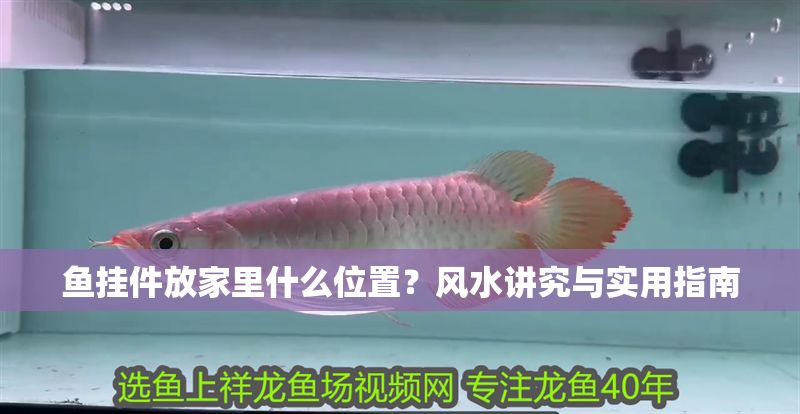 魚掛件放家里什么位置？風(fēng)水講究與實(shí)用指南