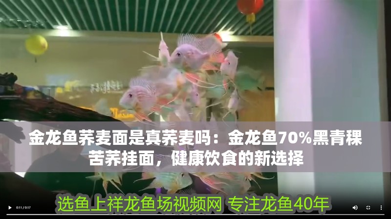 金龍魚蕎麥面是真蕎麥嗎：金龍魚70%黑青稞苦蕎掛面，健康飲食的新選擇