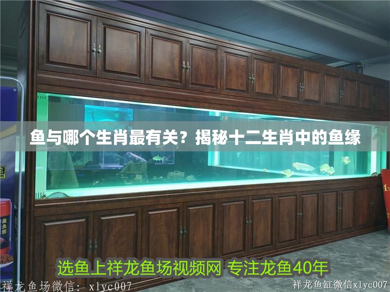 魚(yú)與哪個(gè)生肖最有關(guān)？揭秘十二生肖中的魚(yú)緣