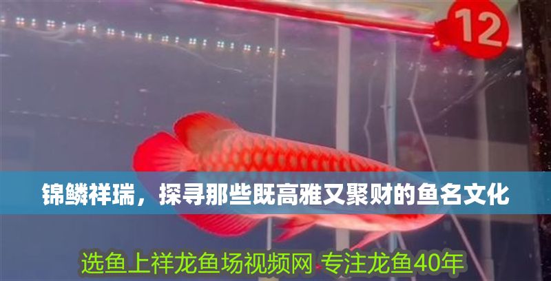 錦鱗祥瑞，探尋那些既高雅又聚財的魚名文化