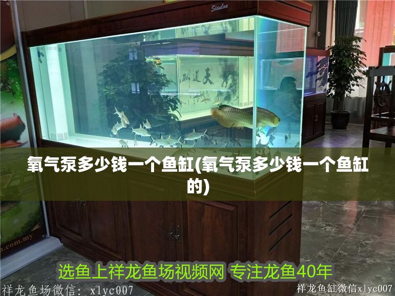 氧氣泵多少錢一個(gè)魚缸(氧氣泵多少錢一個(gè)魚缸的)