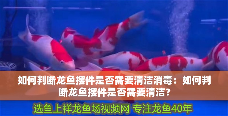 如何判斷龍魚擺件是否需要清潔消毒：如何判斷龍魚擺件是否需要清潔？