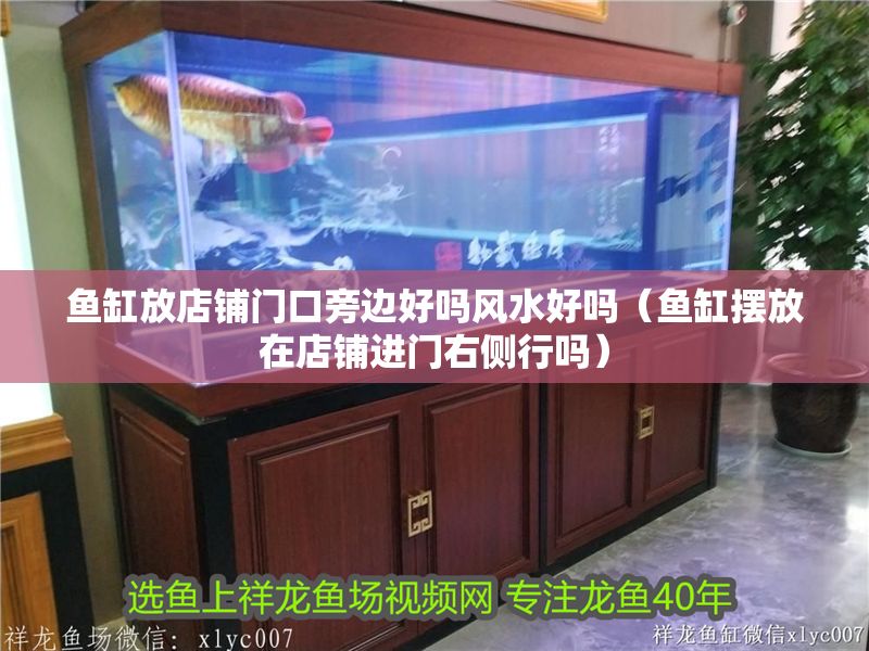 魚缸放店鋪門口旁邊好嗎風水好嗎（魚缸擺放在店鋪進門右側行嗎）