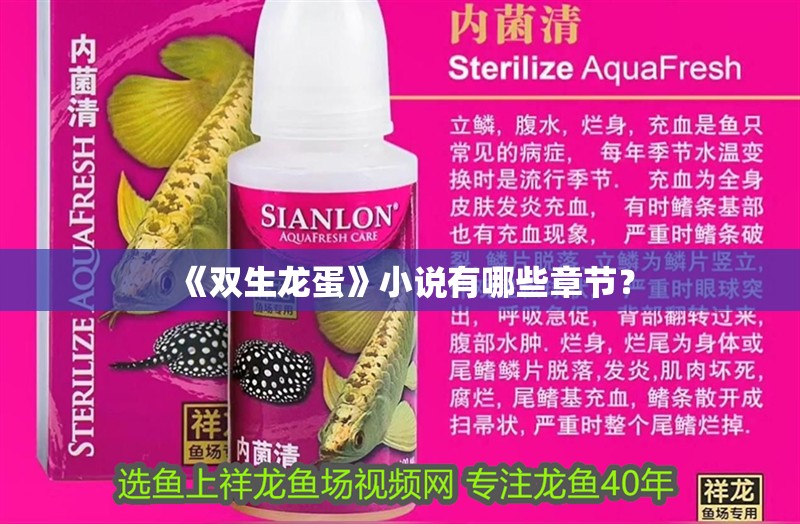 《雙生龍蛋》小說有哪些章節？