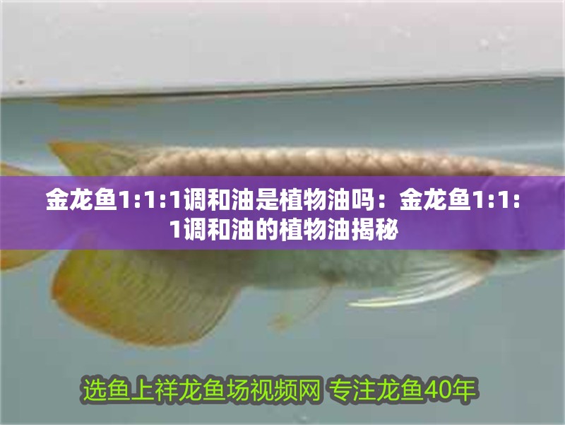 金龍魚1:1:1調和油是植物油嗎：金龍魚1:1:1調和油的植物油揭秘