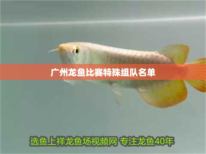 廣州龍魚比賽特殊組隊名單