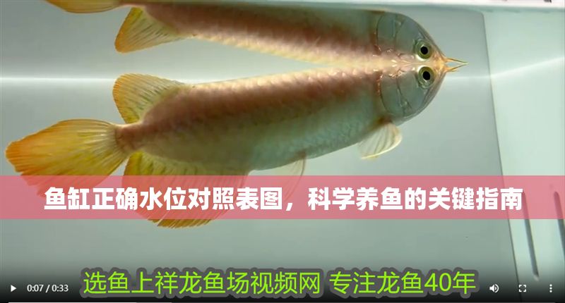 魚缸正確水位對照表圖，科學(xué)養(yǎng)魚的關(guān)鍵指南
