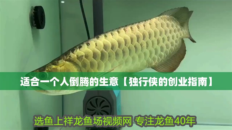 適合一個人倒騰的生意【獨行俠的創(chuàng)業(yè)指南】