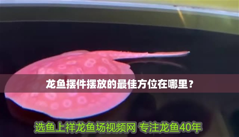 龍魚擺件擺放的最佳方位在哪里？