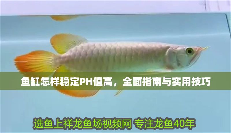魚缸怎樣穩定PH值高，全面指南與實用技巧