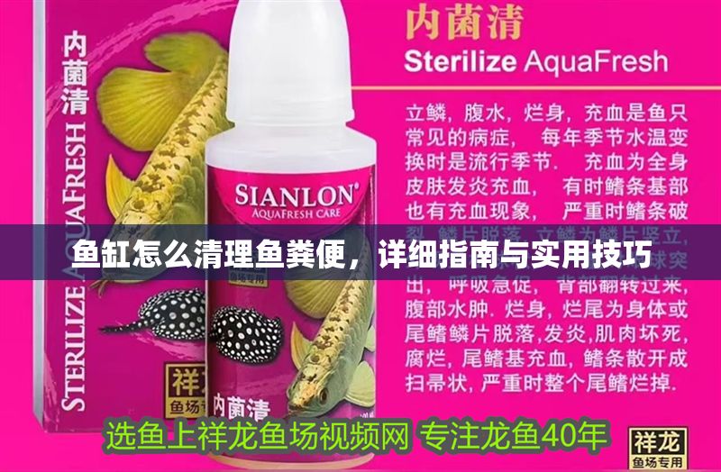 魚缸怎么清理魚糞便,詳細指南與實用技巧 龍魚百科 第1張 魚缸怎么清理魚糞便,詳細指南與實用技巧 魚缸怎么清理魚糞便,詳細指南與實用技巧 龍魚百科 第1張