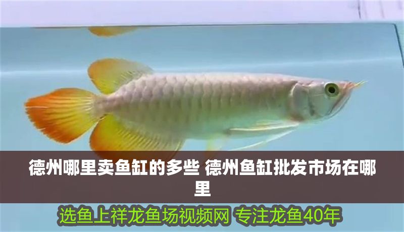 <strong><mark>德州</mark></strong>哪里賣魚缸的多些 <strong><mark>德州</mark></strong>魚缸批發市場在哪里