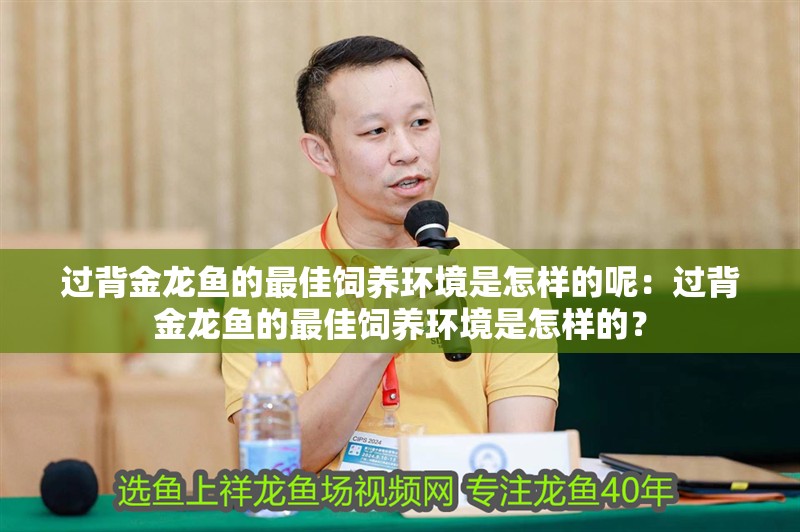 過背金龍魚的最佳飼養環境是怎樣的呢：過背金龍魚的最佳飼養環境是怎樣的？