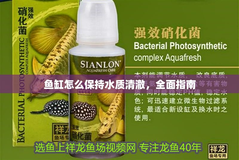 魚缸怎么保持水質清澈，全面指南