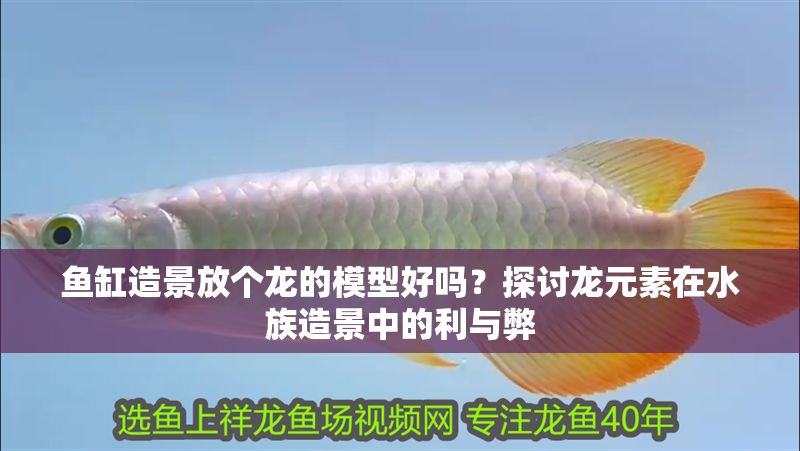 魚缸造景放個龍的模型好嗎？探討龍元素在水族造景中的利與弊