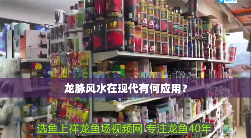 龍脈風水在現代有何應用？