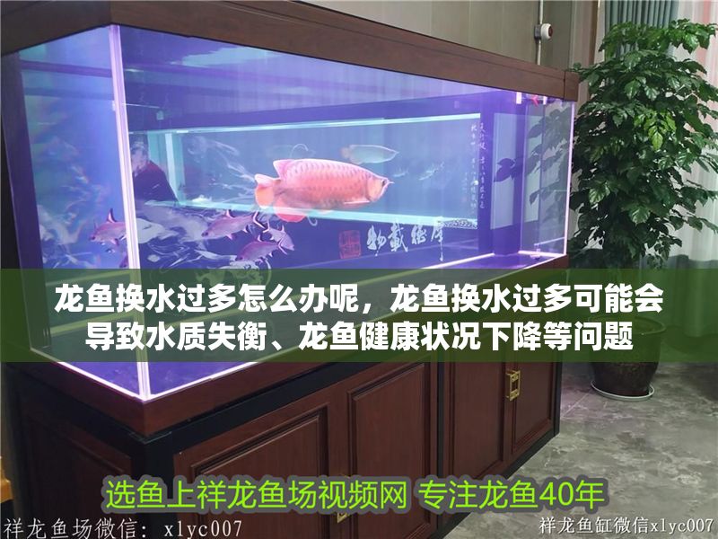 龍魚換水過多怎么辦呢，龍魚換水過多可能會導致水質失衡、龍魚健康狀況下降等問題