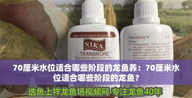 70厘米水位適合哪些階段的龍魚養：70厘米水位適合哪些階段的龍魚？