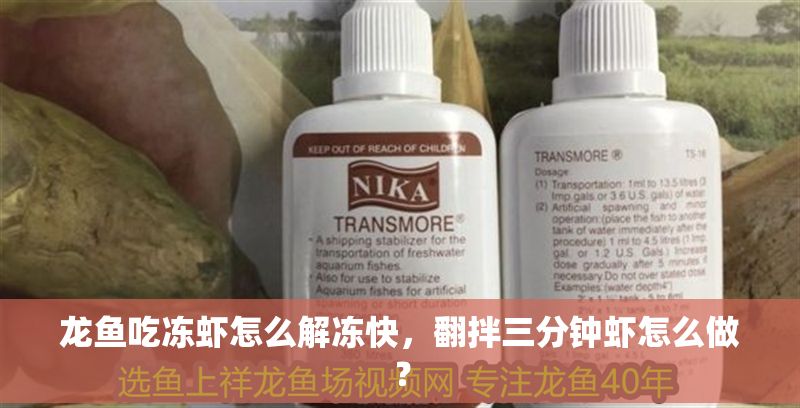 龍魚吃凍蝦怎么解凍快，翻拌三分鐘蝦怎么做？