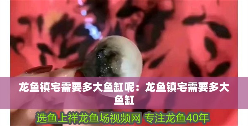 龍魚浮頭沉尾能自愈嗎？