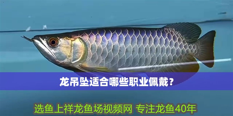 龍吊墜適合哪些職業佩戴？