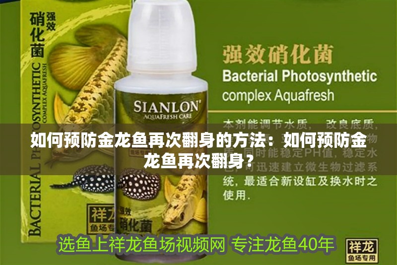 如何預防金龍魚再次翻身的方法：如何預防金龍魚再次翻身？