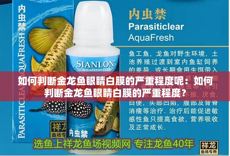 如何判斷金龍魚眼睛白膜的嚴(yán)重程度呢：如何判斷金龍魚眼睛白膜的嚴(yán)重程度？