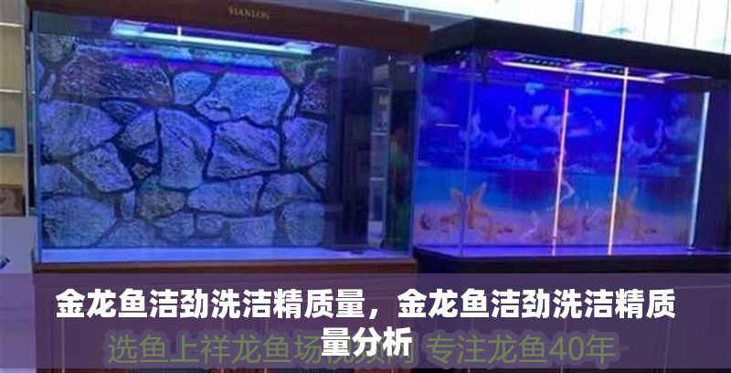 金龍魚潔勁洗潔精質量，金龍魚潔勁洗潔精質量分析