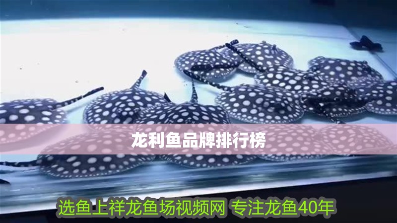 龍利魚品牌排行榜