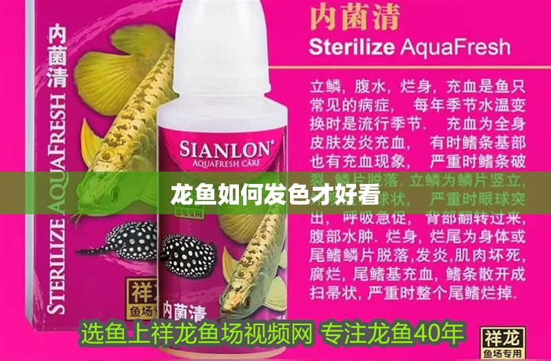 龍魚(yú)如何發(fā)色才好看