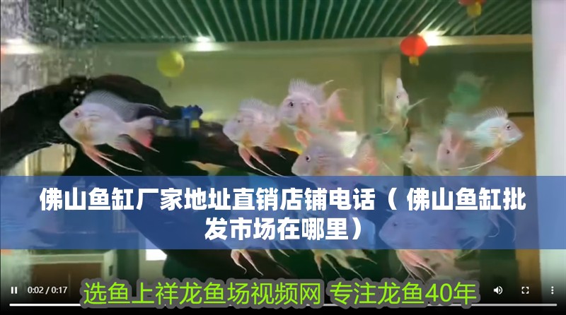 佛山魚缸廠家地址直銷店鋪電話（ 佛山魚缸批發市場在哪里）