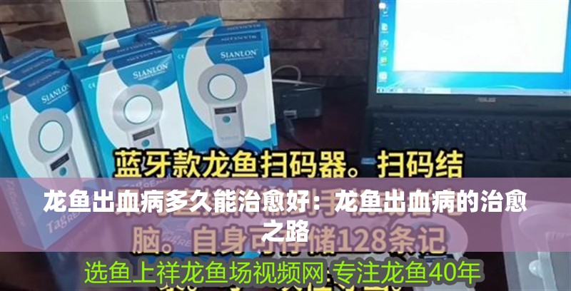 龍魚出血病多久能治愈好：龍魚出血病的治愈之路