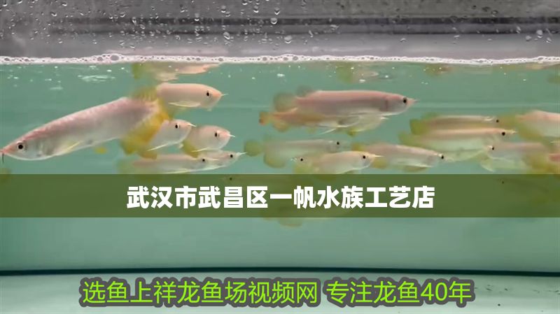 武漢市武昌區一帆水族工藝店