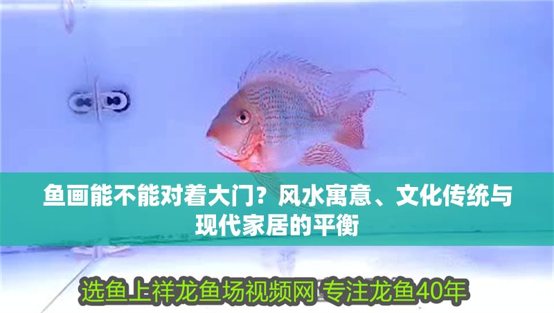 魚畫能不能對著大門？風水寓意、文化傳統與現代家居的平衡