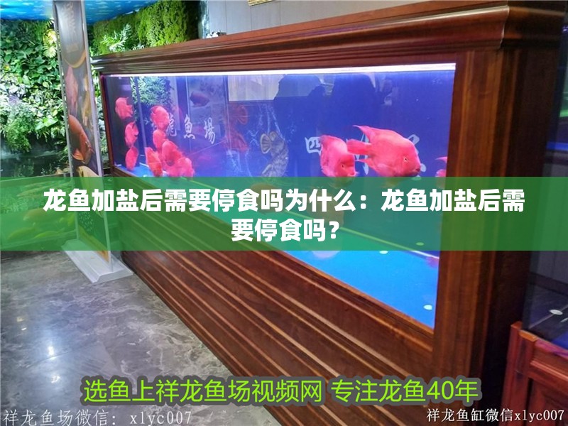 龍魚加鹽后需要停食嗎為什么：龍魚加鹽后需要停食嗎？