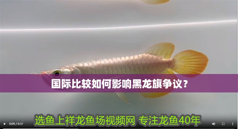 國際比較如何影響黑龍旗爭議？