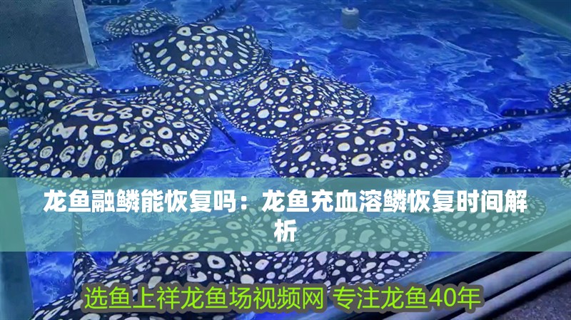 龍魚浮頭需要治療嗎