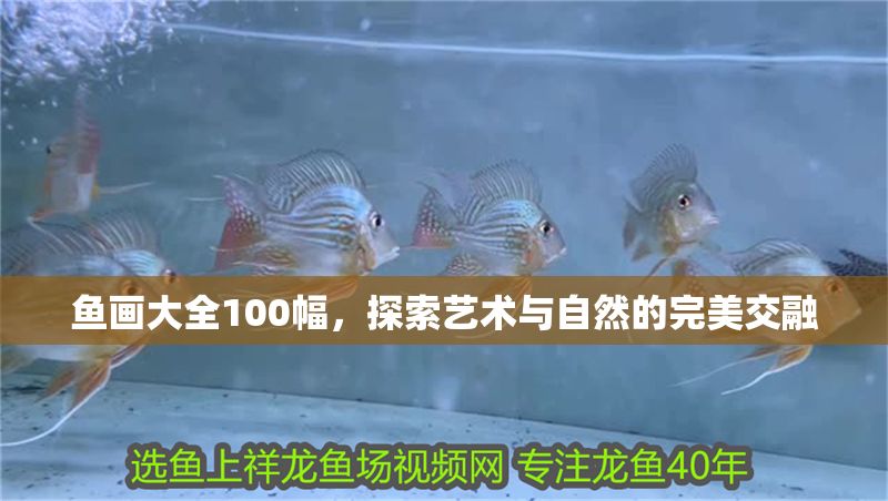魚畫大全100幅，探索藝術(shù)與自然的完美交融