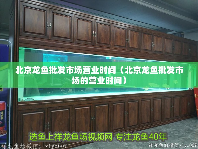 北京龍魚批發(fā)市場(chǎng)營(yíng)業(yè)時(shí)間（北京龍魚批發(fā)市場(chǎng)的營(yíng)業(yè)時(shí)間）